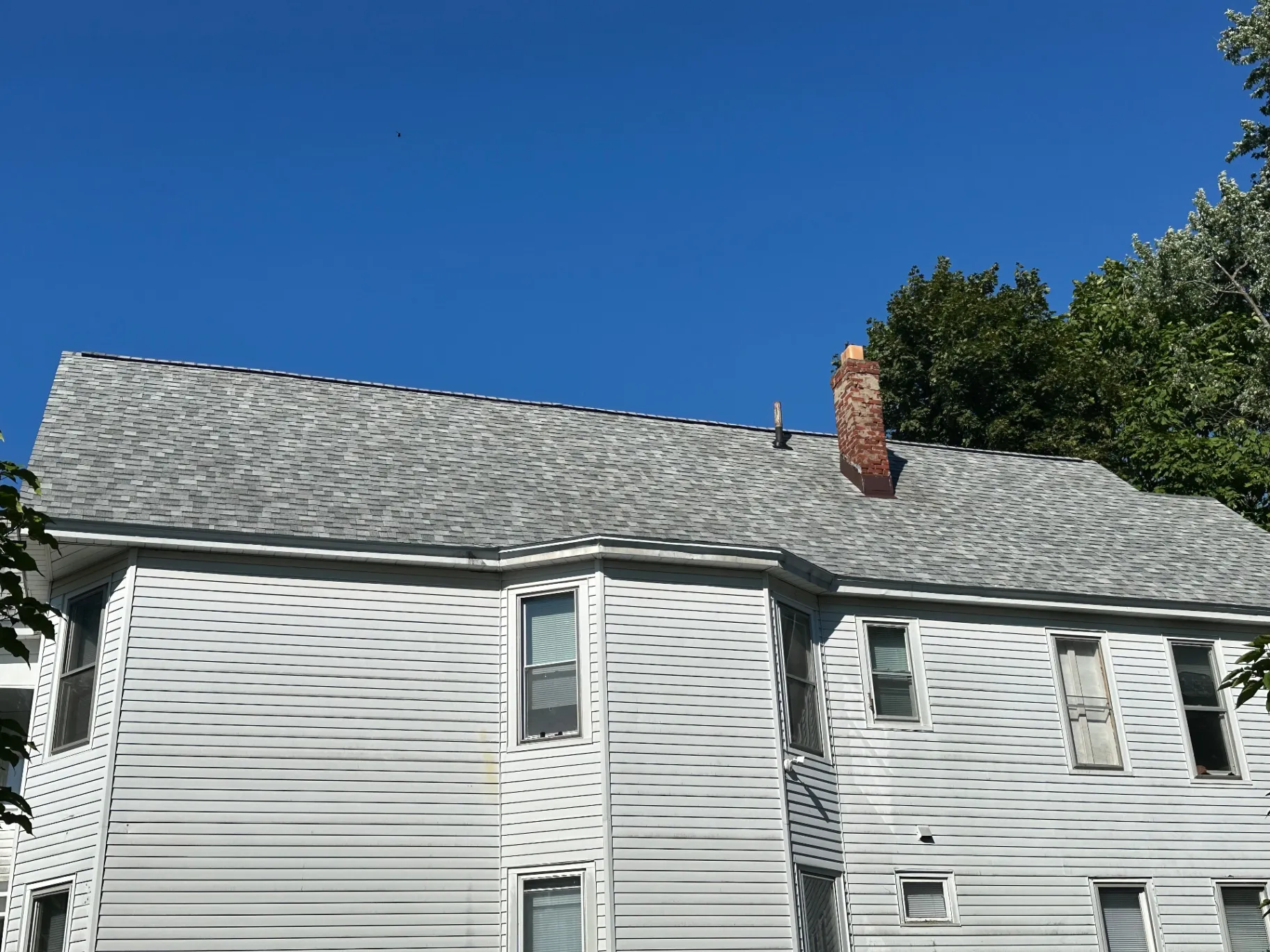 Gallery image 76