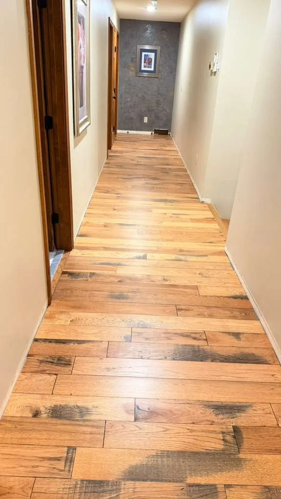 Gallery image 193