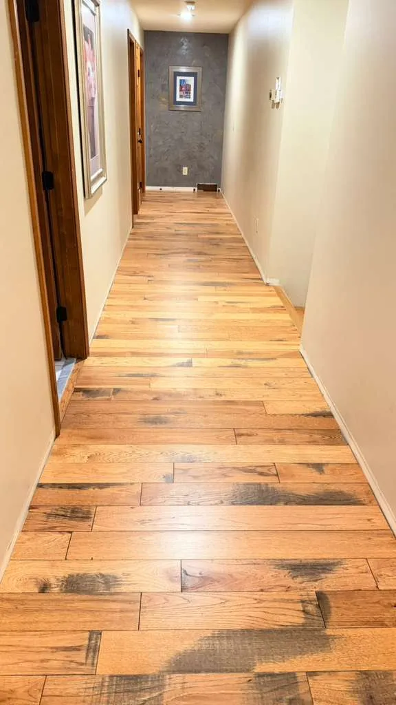 Gallery image 194