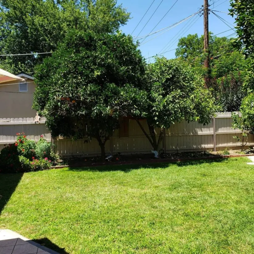 Gallery image 16