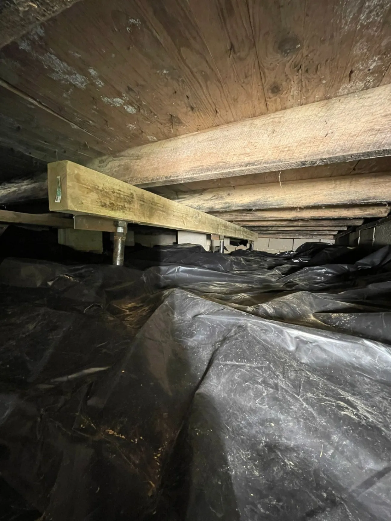Gallery image 10