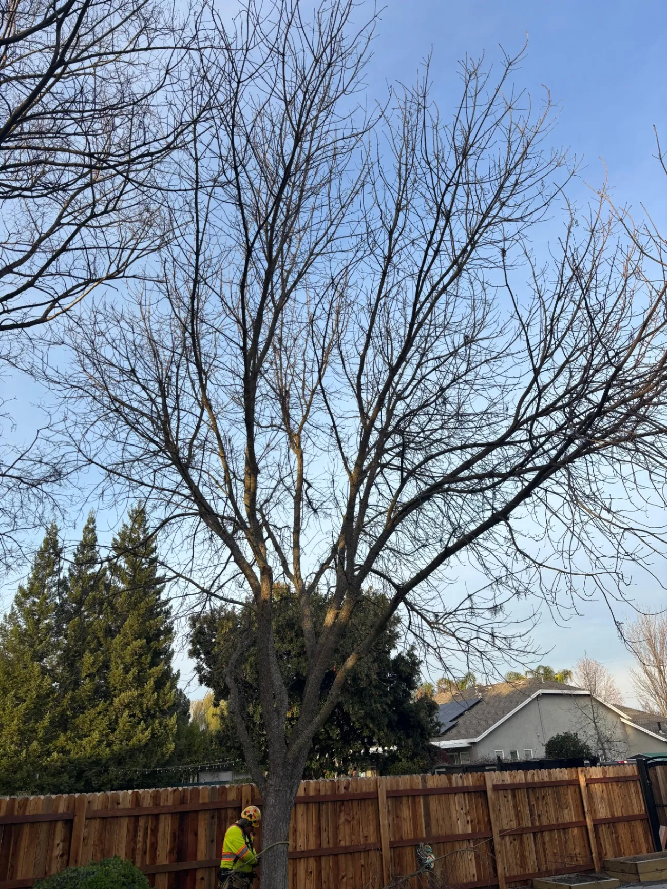 Gallery image 68