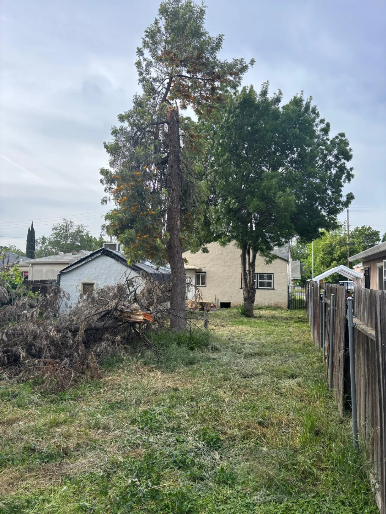 Gallery image 51