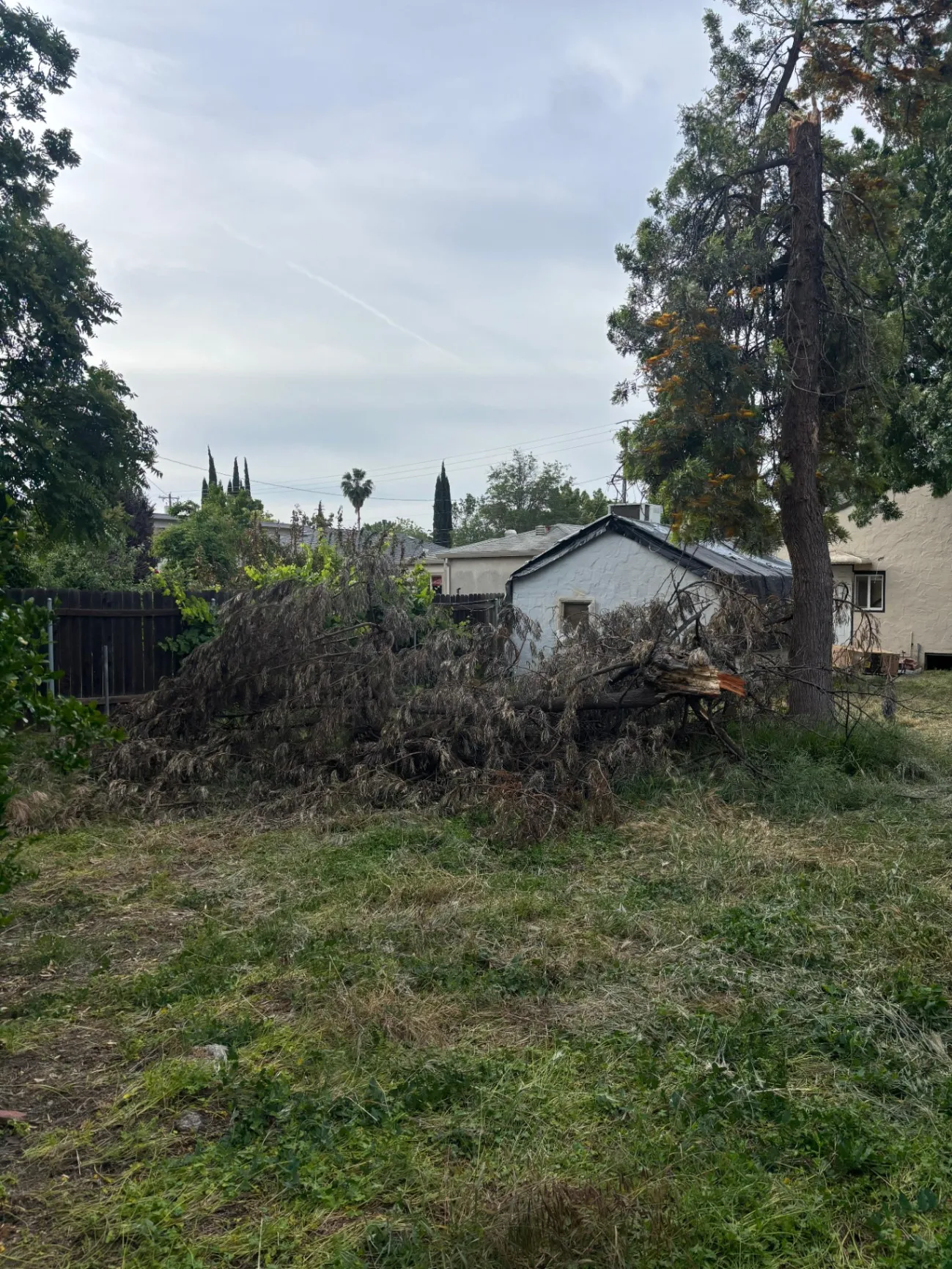 Gallery image 53