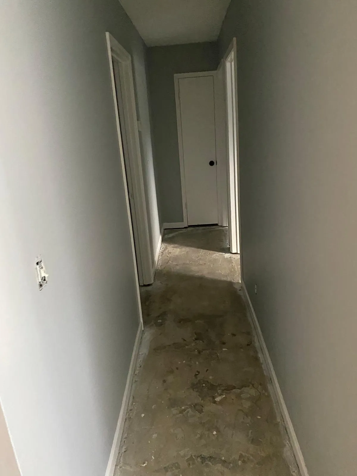 Gallery image 75