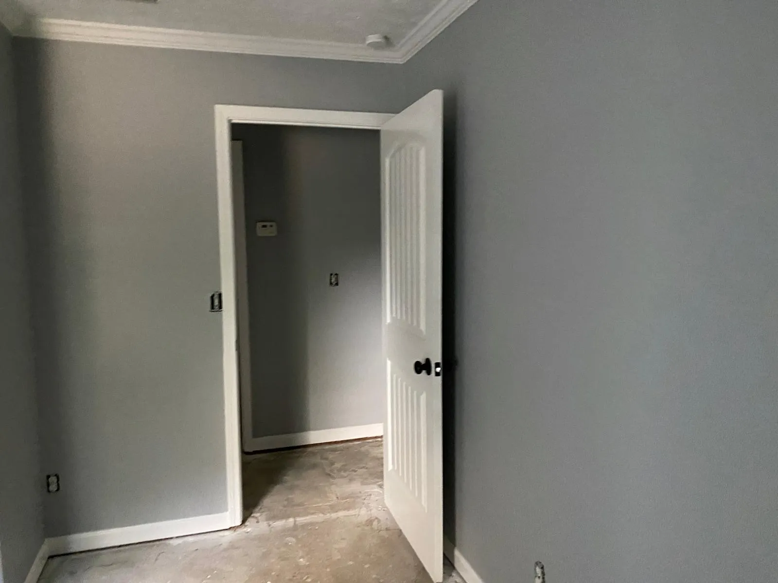 Gallery image 79