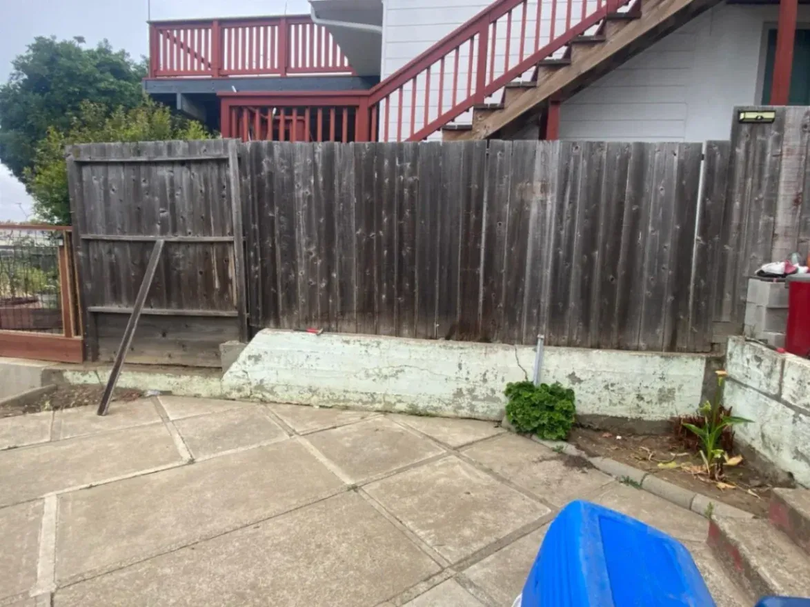 Gallery image 14