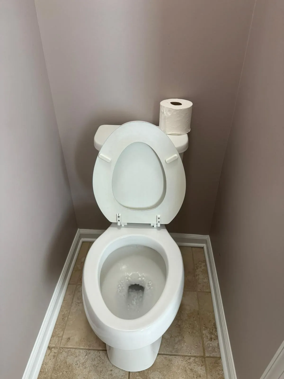 Gallery image 6