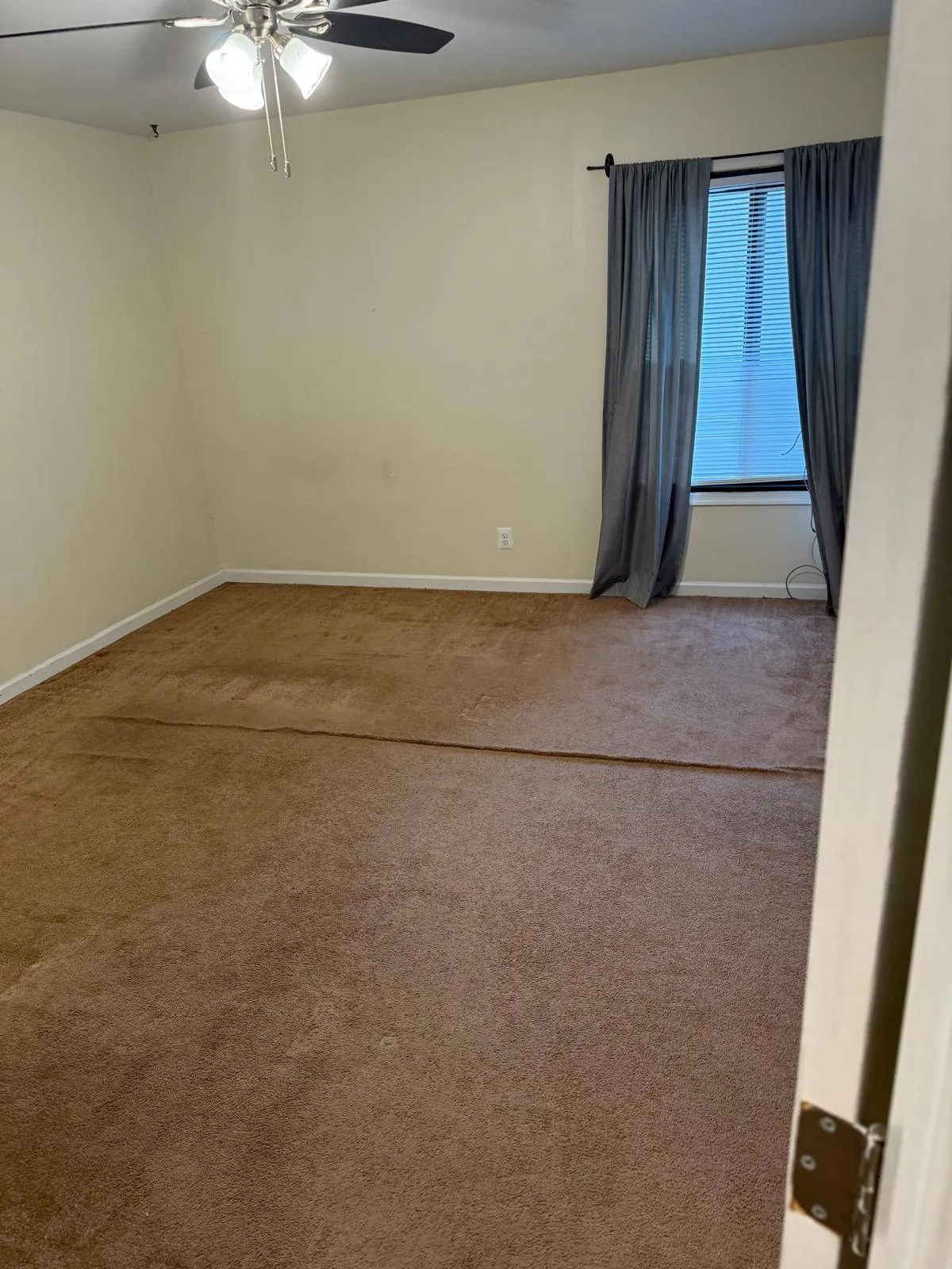 Gallery image 12