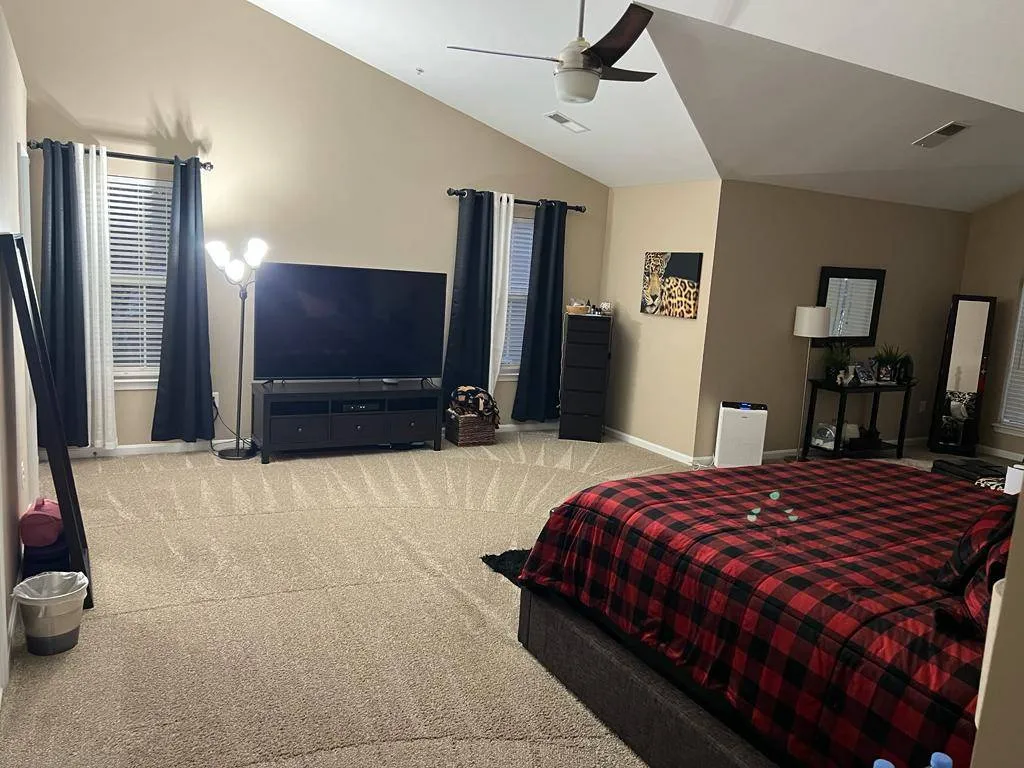 Gallery image 17