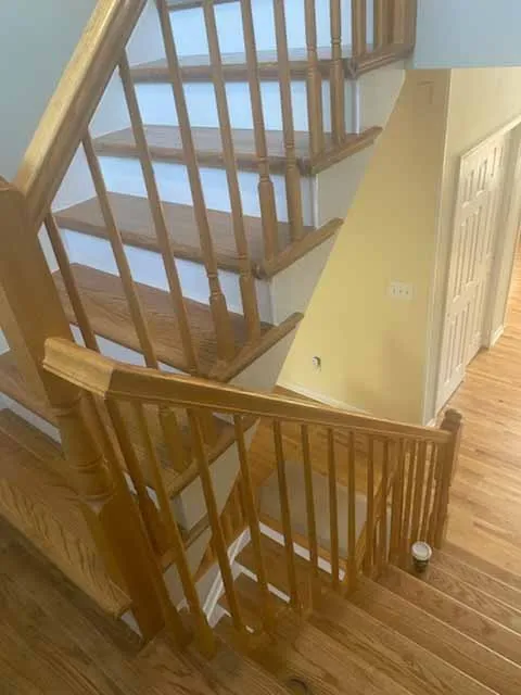 Gallery image 15