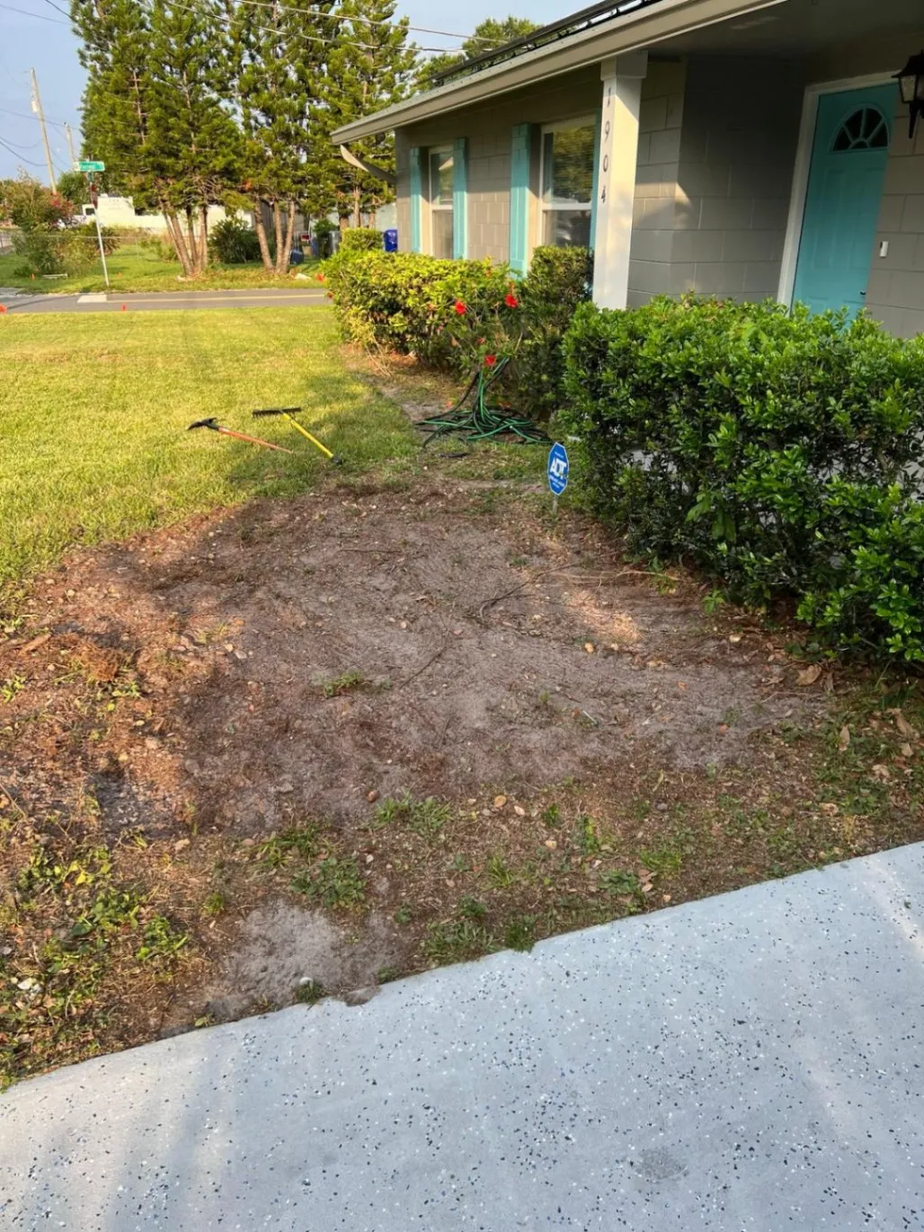 Gallery image 13