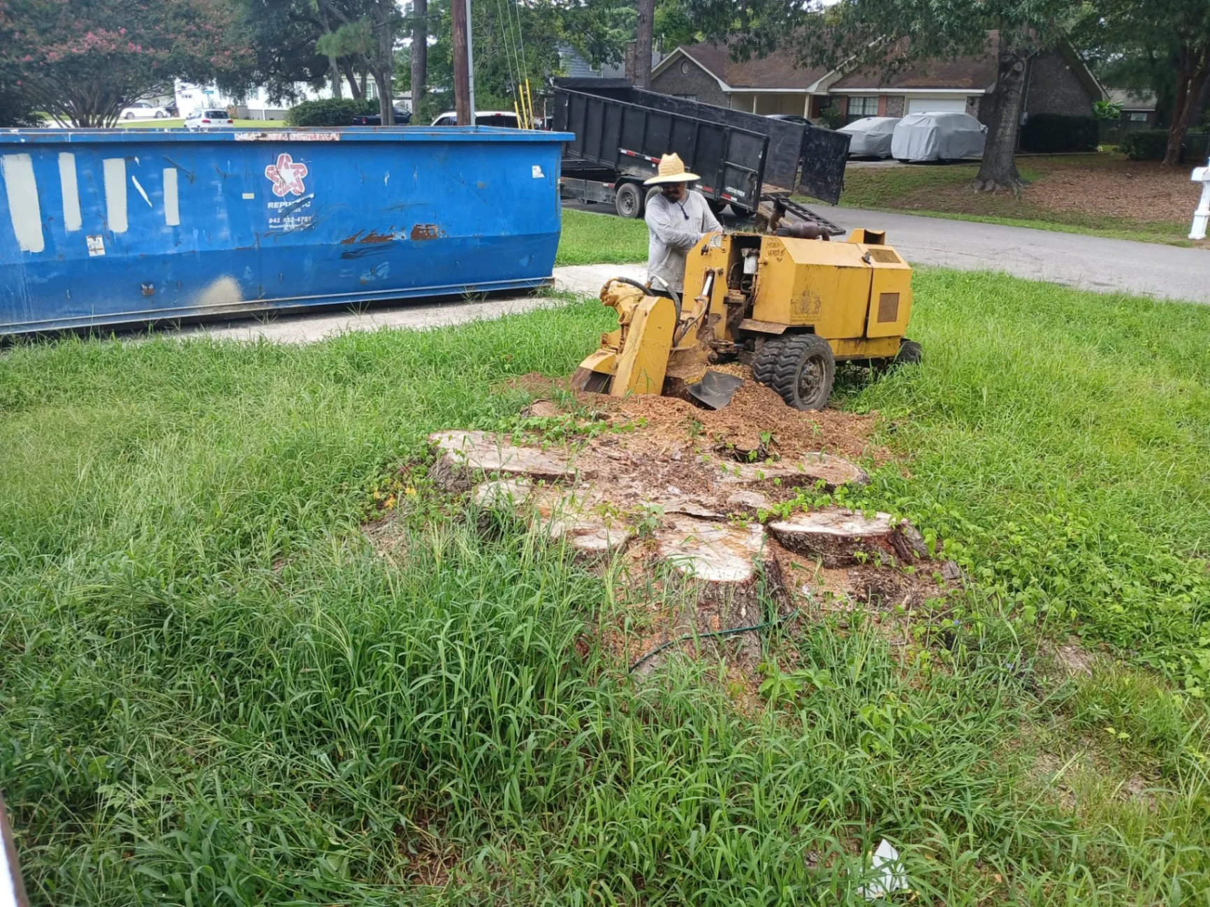 Ocean Tree Company LLC