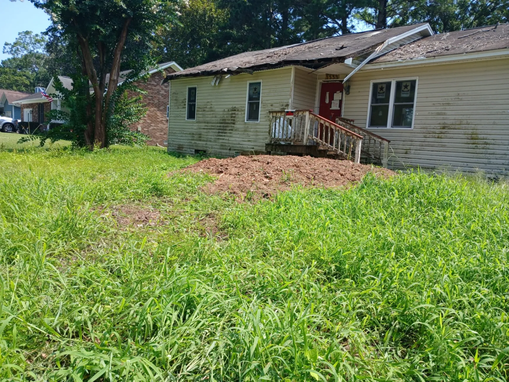 Ocean Tree Company LLC