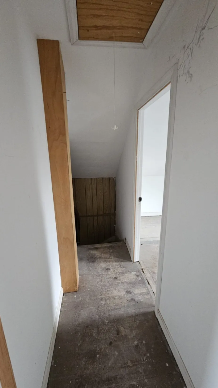 Gallery image 116