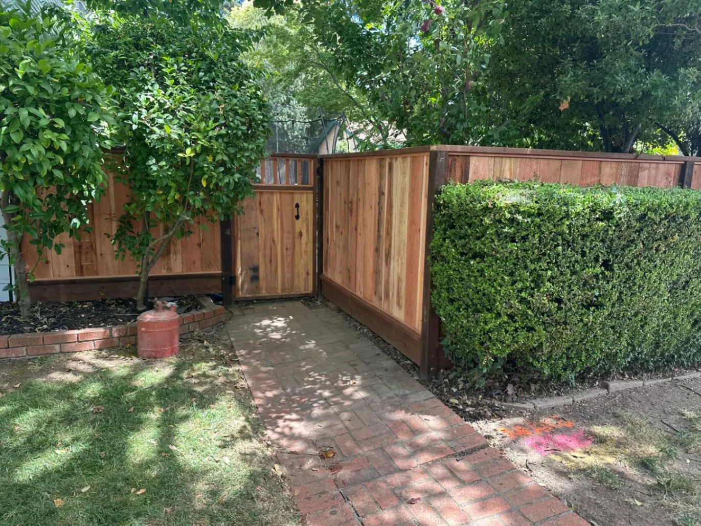 Gallery image 16