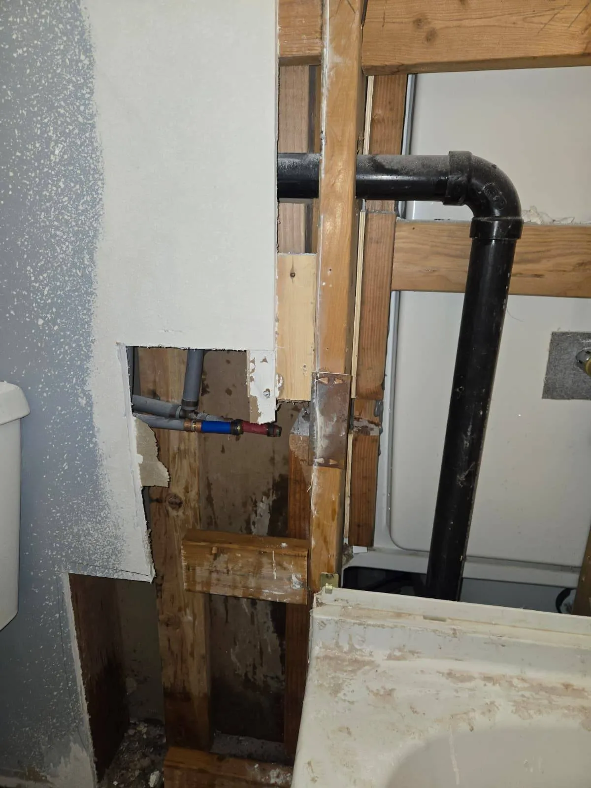 Gallery image 17