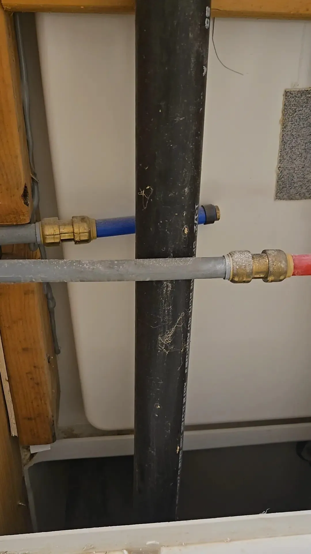 Gallery image 22