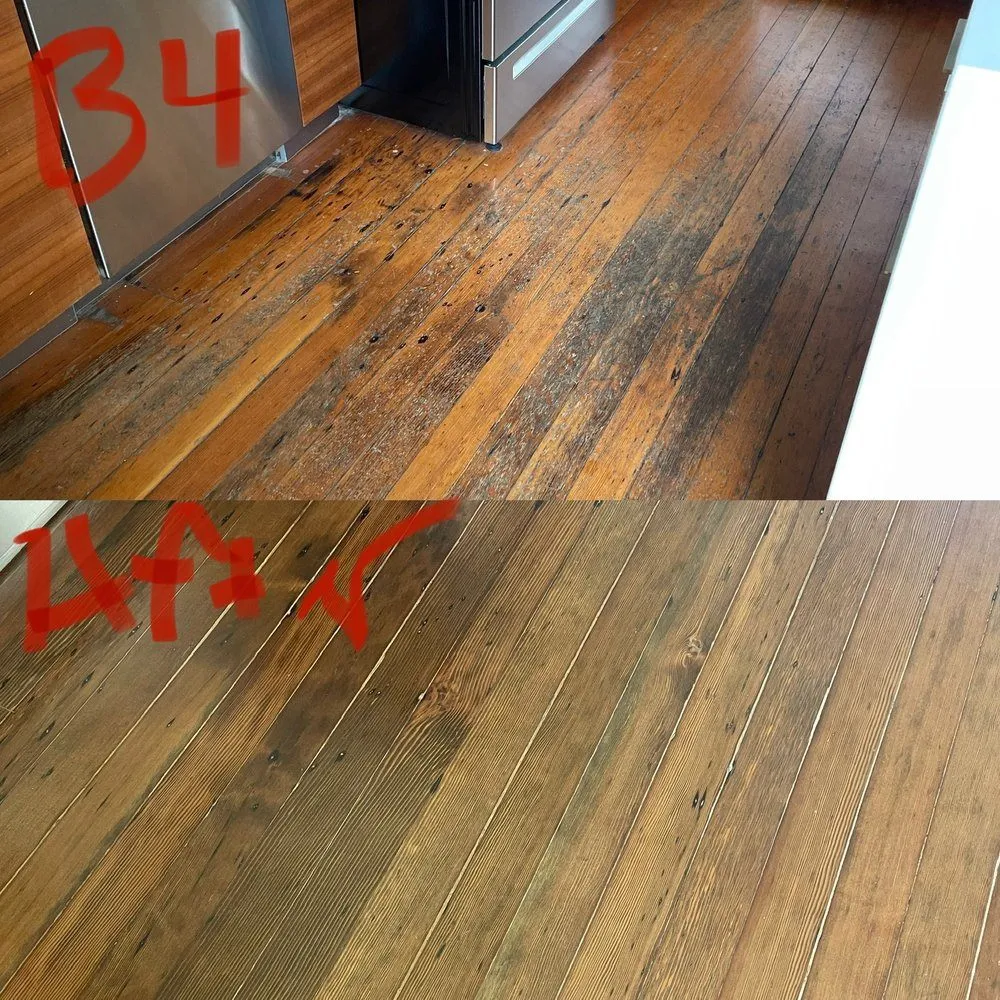 Gallery image 16
