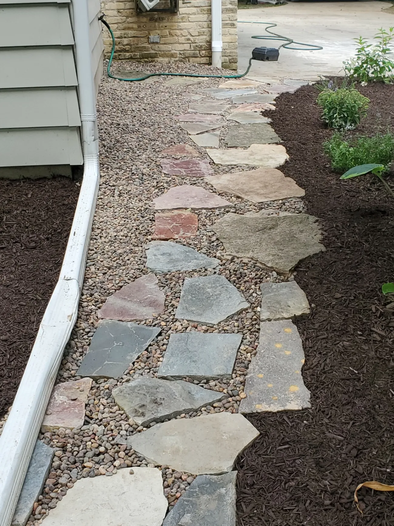 Gallery image 306