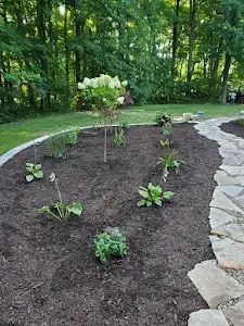 Gallery image 37