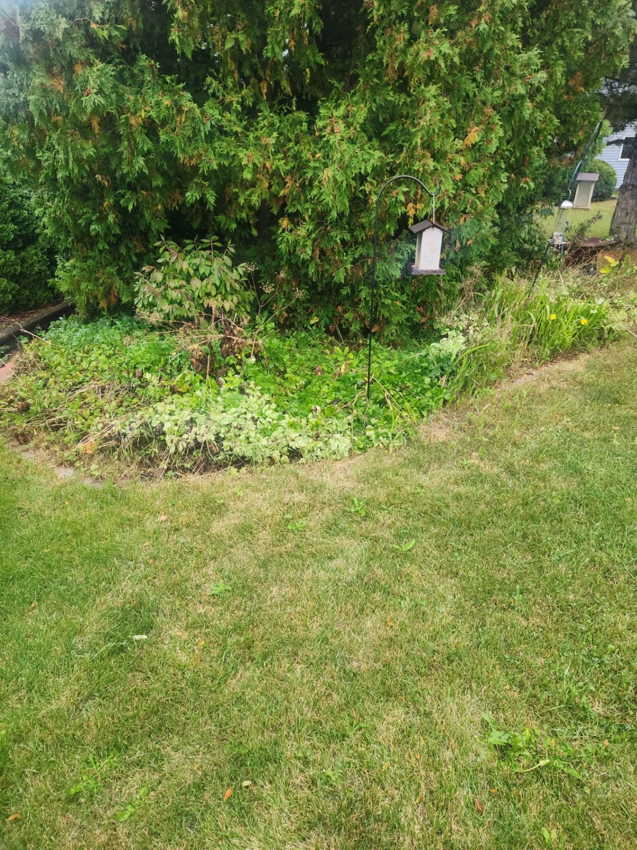 Gallery image 236