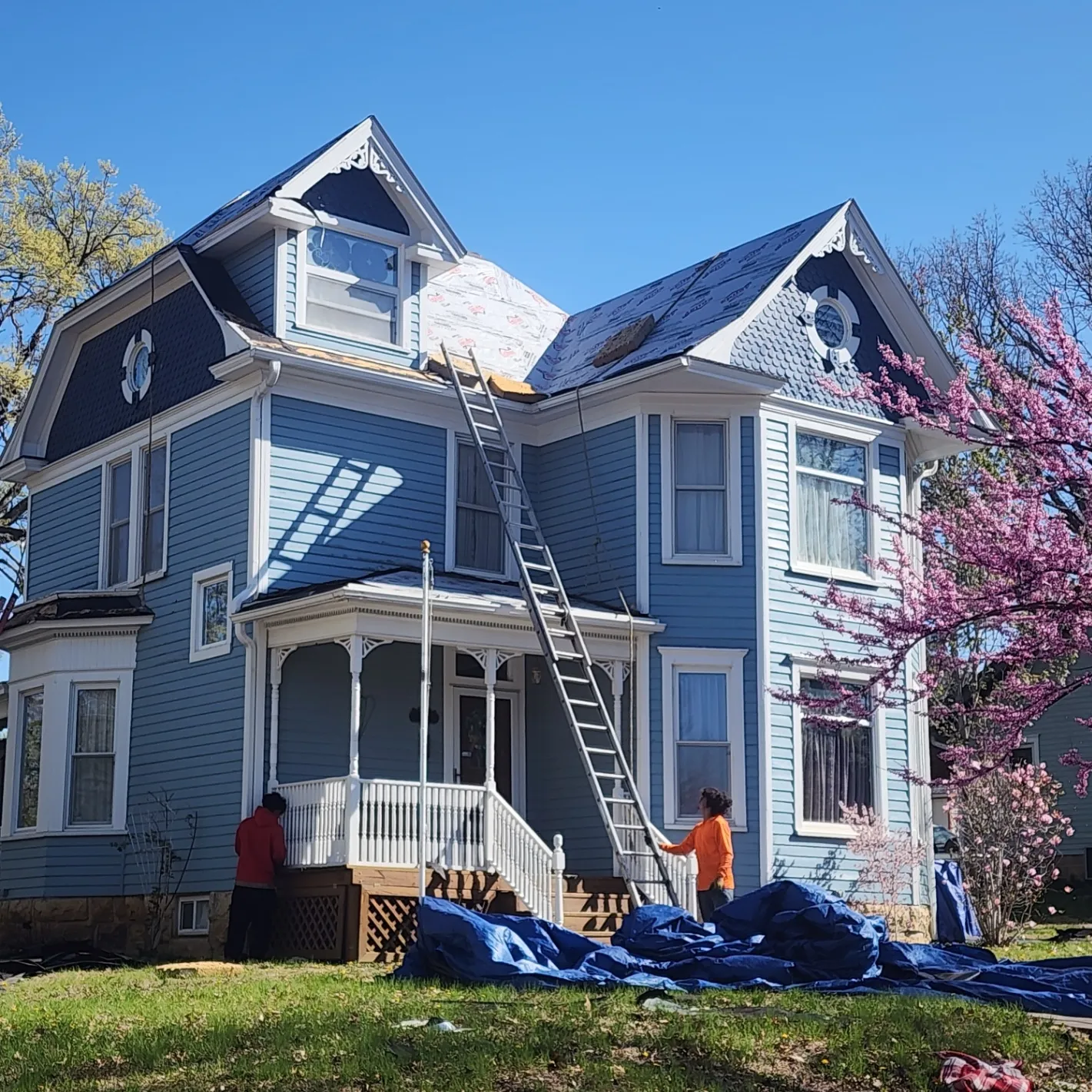 Gallery image 15