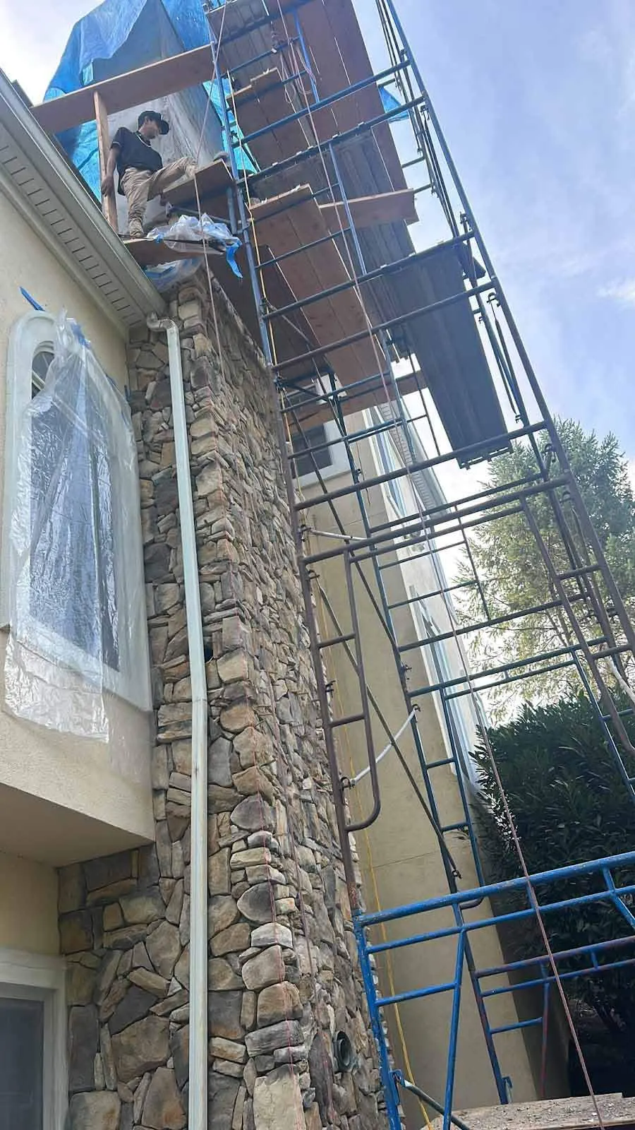 Gallery image 11
