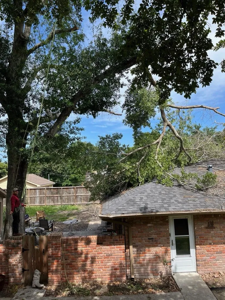 Mendezcrews Tree Service