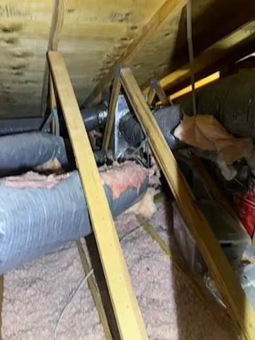 Gallery image 7
