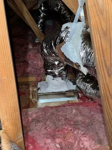 Gallery image 9