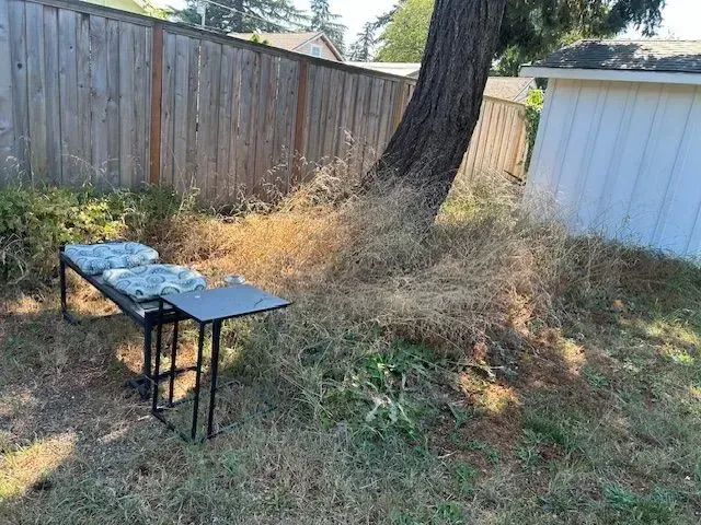 Gallery image 7