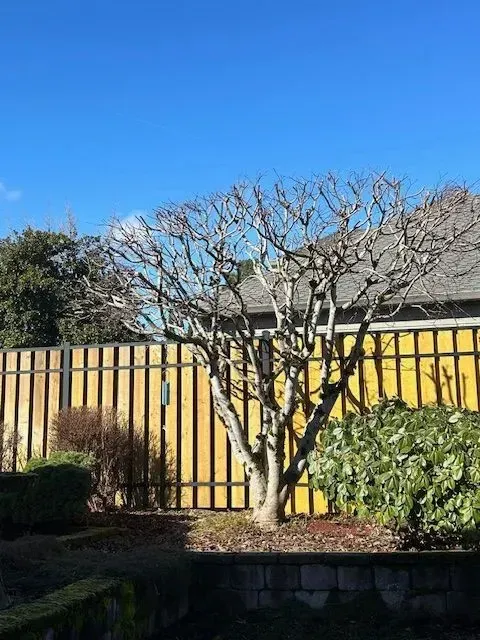 Gallery image 16