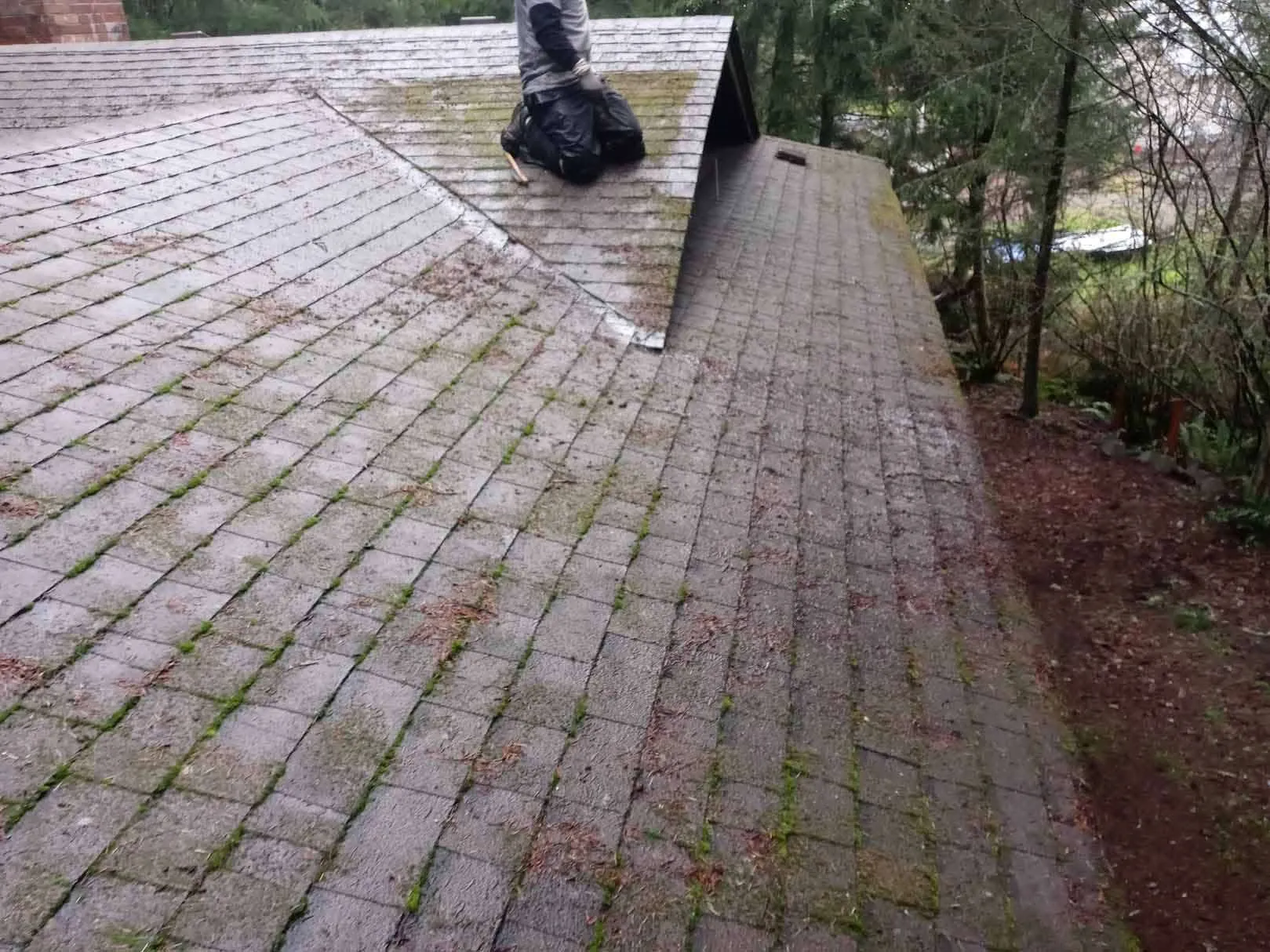 Moss Removal from Roofs