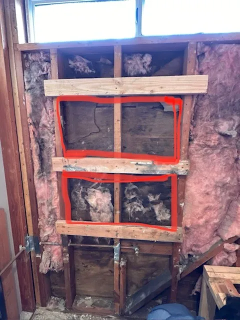 Gallery image 17
