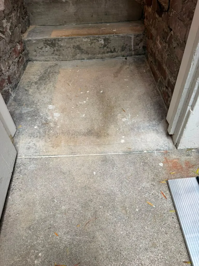 Gallery image 187