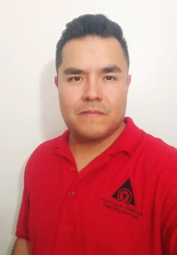 Professional Painting Services