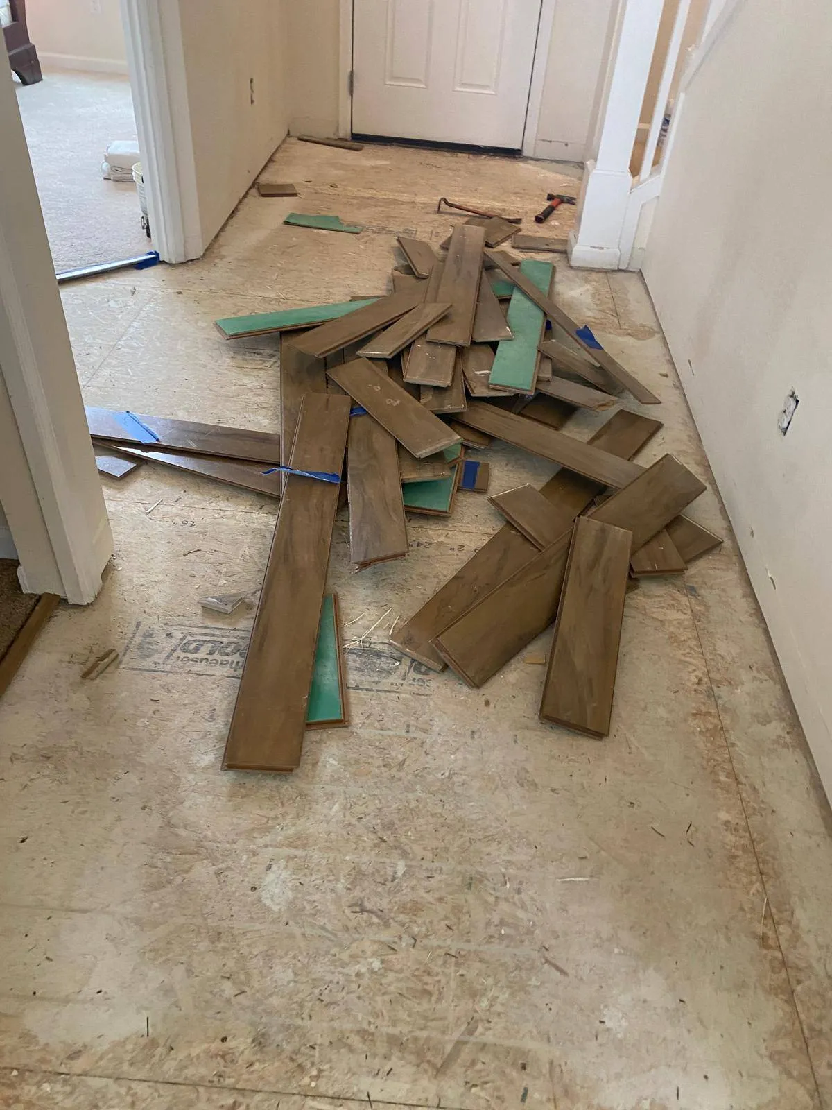 Gallery image 11