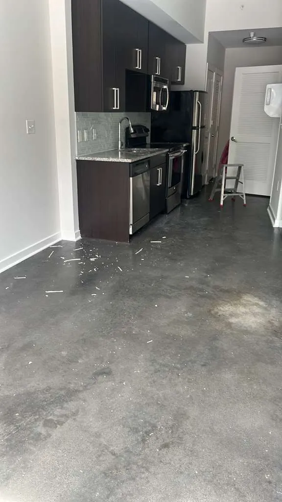Gallery image 53
