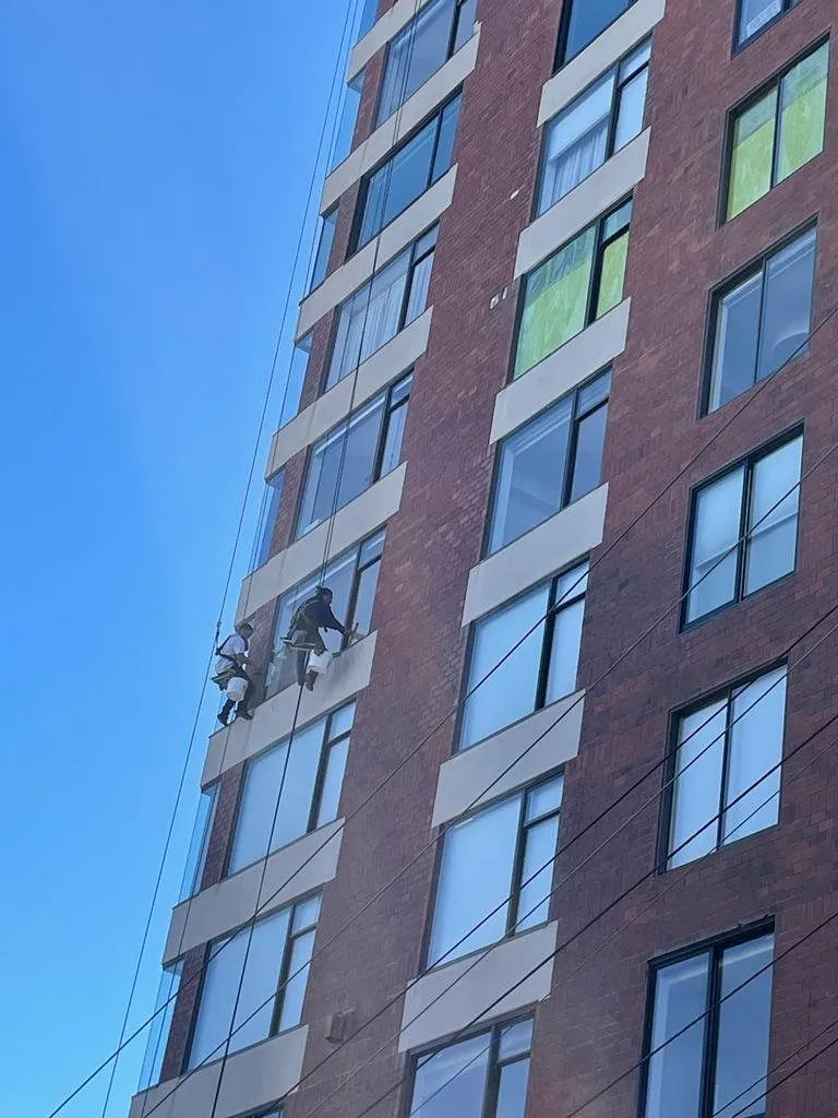 Windows Cleaning