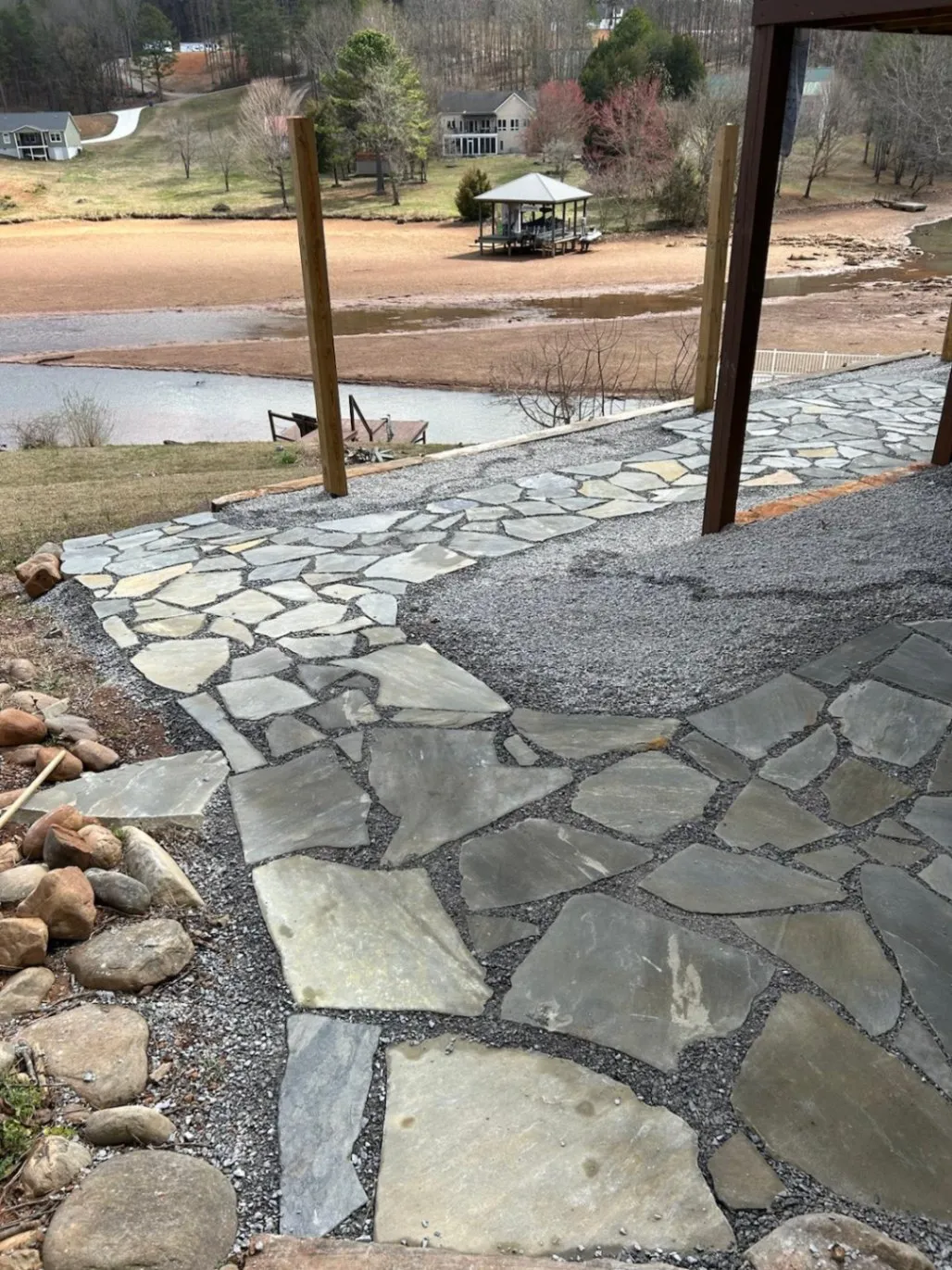 Transform your yard with expert tree care today