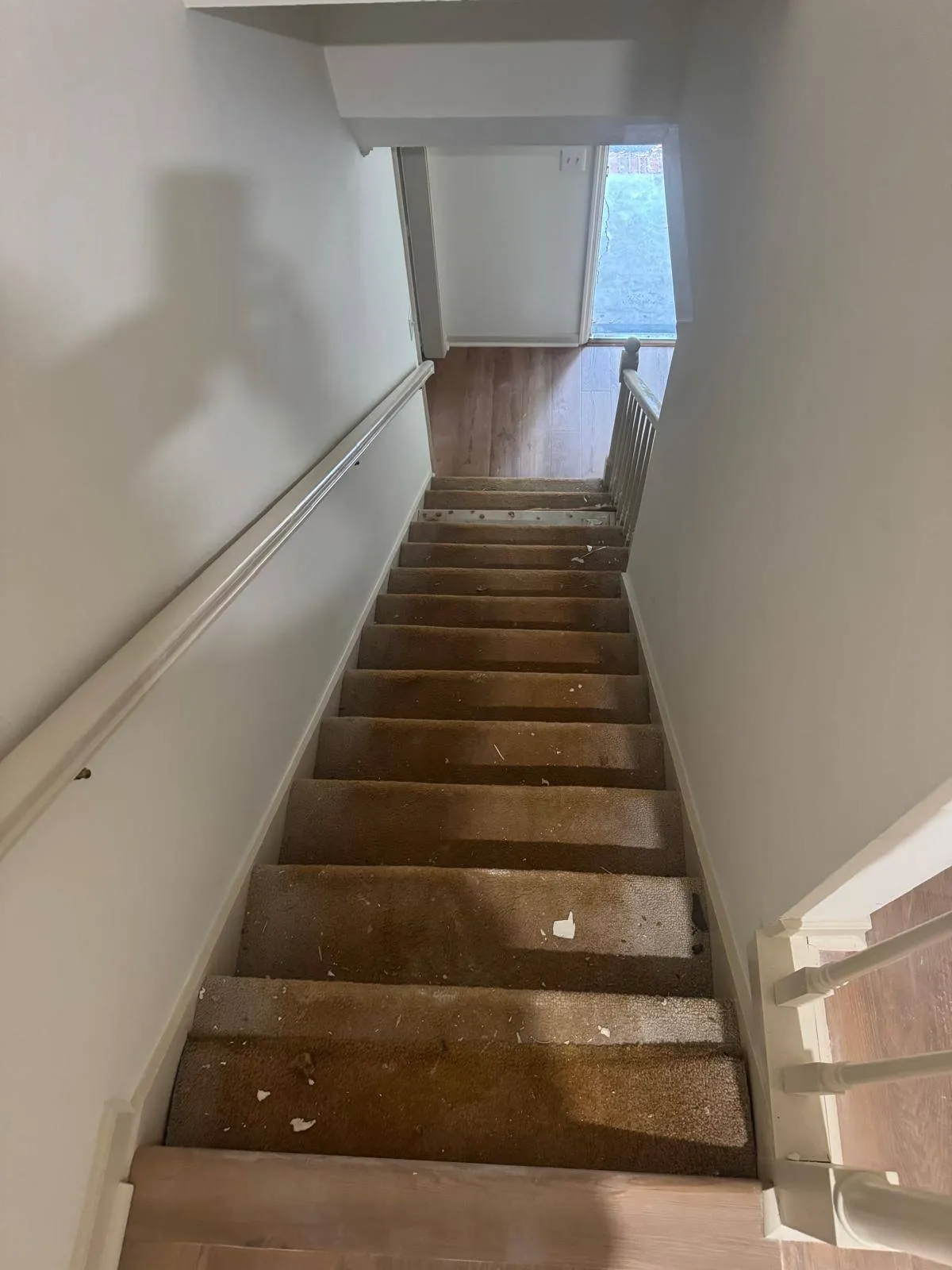 Gallery image 58