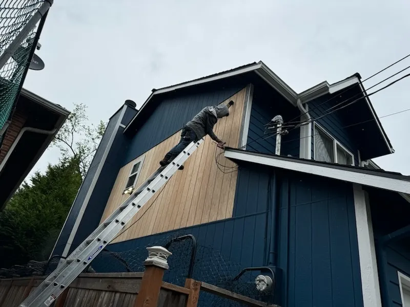 Gallery image 11