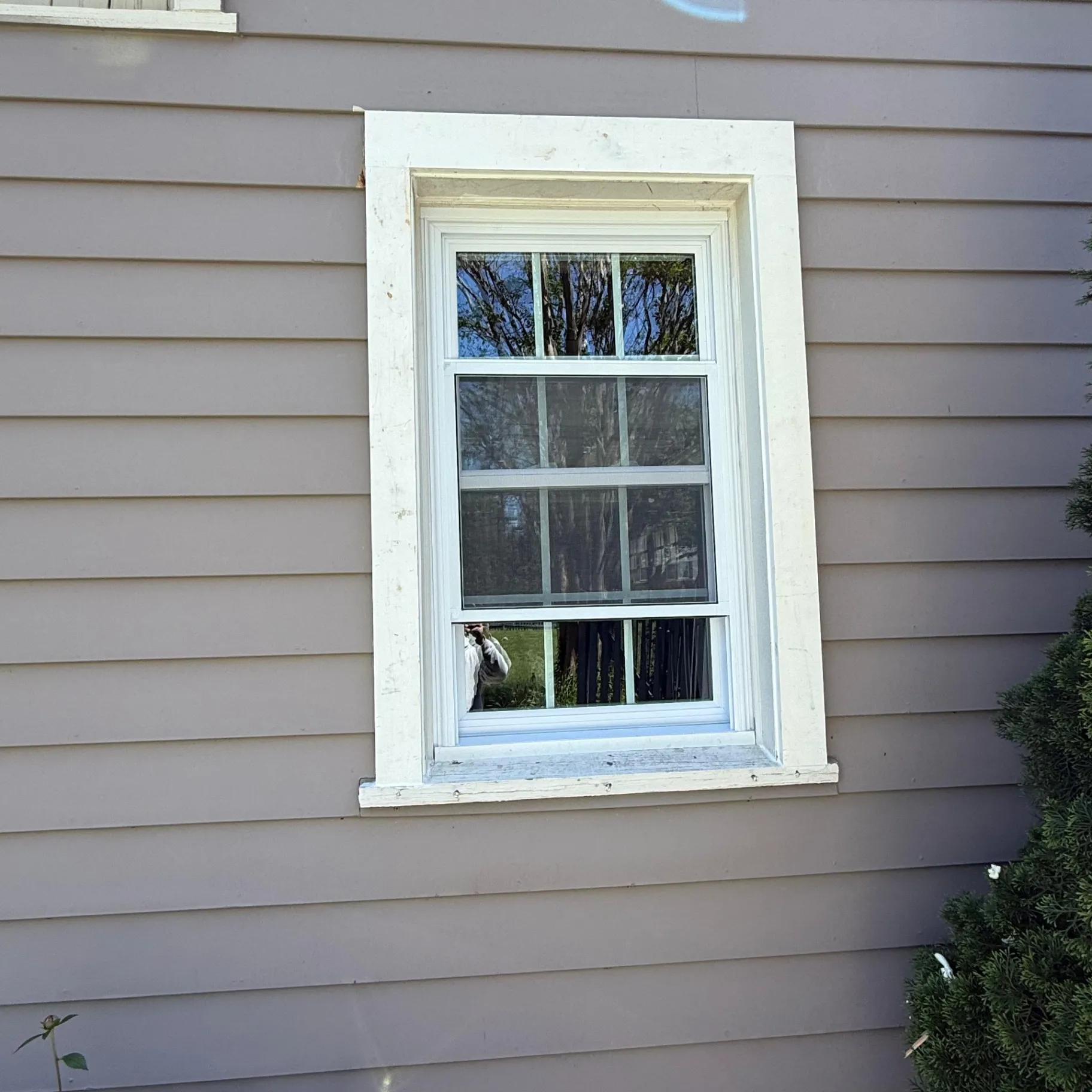 Gallery image 19