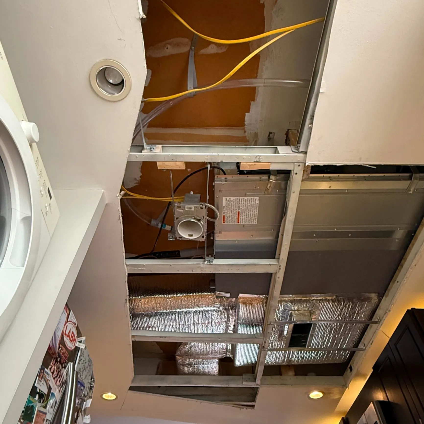 Gallery image 19