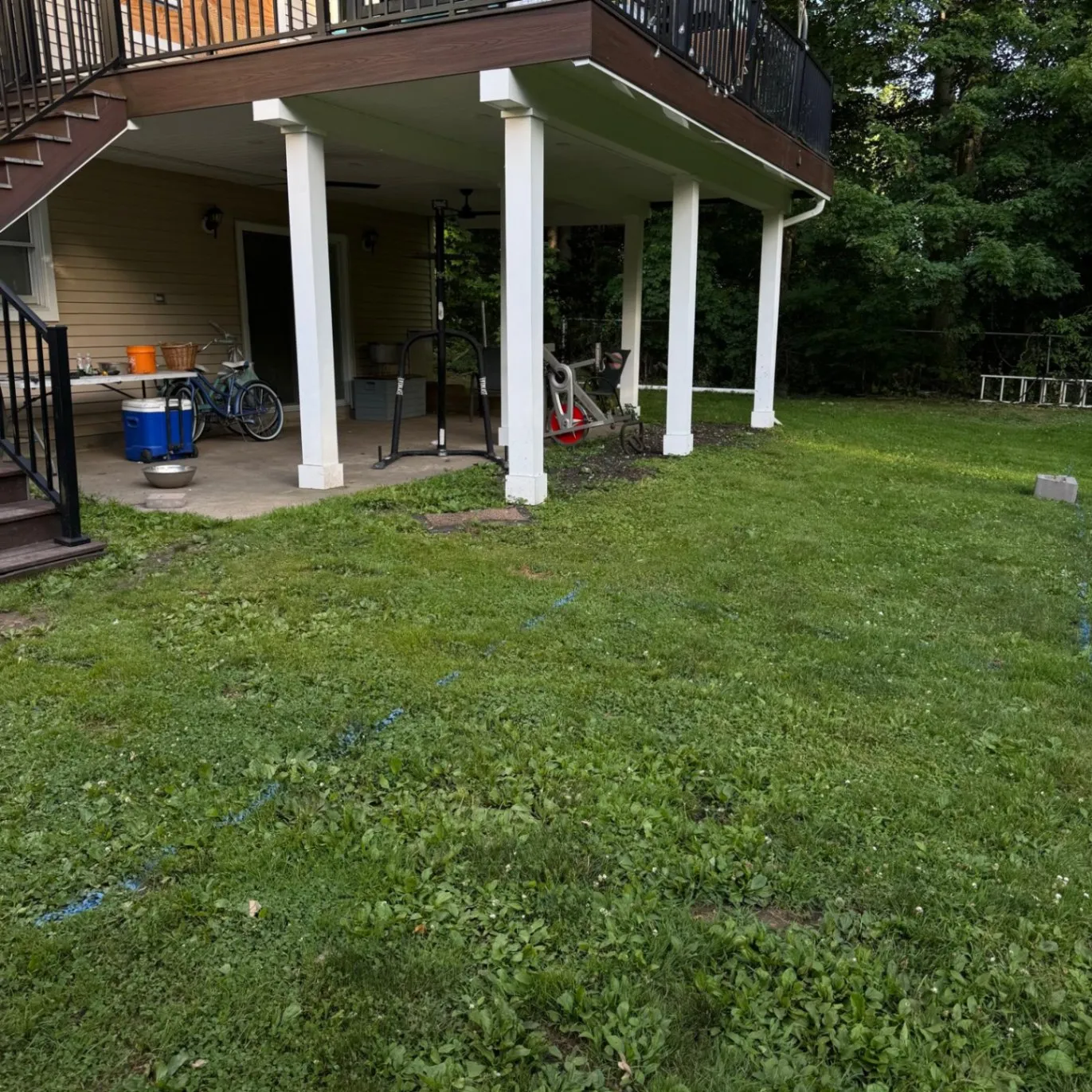 Gallery image 31