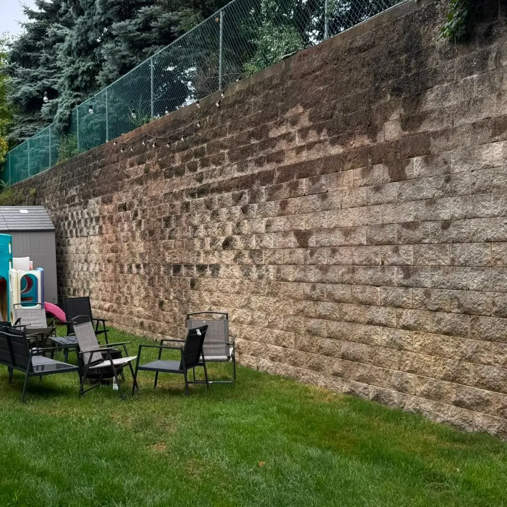 Gallery image 48