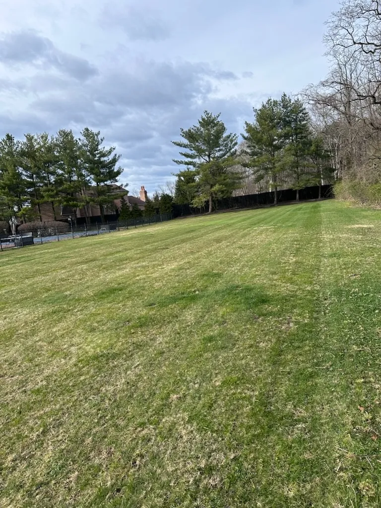 Lmy Landscaping Corp