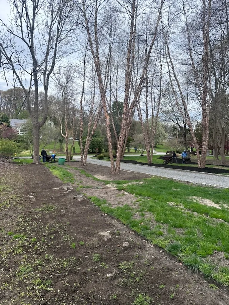Lmy Landscaping Corp