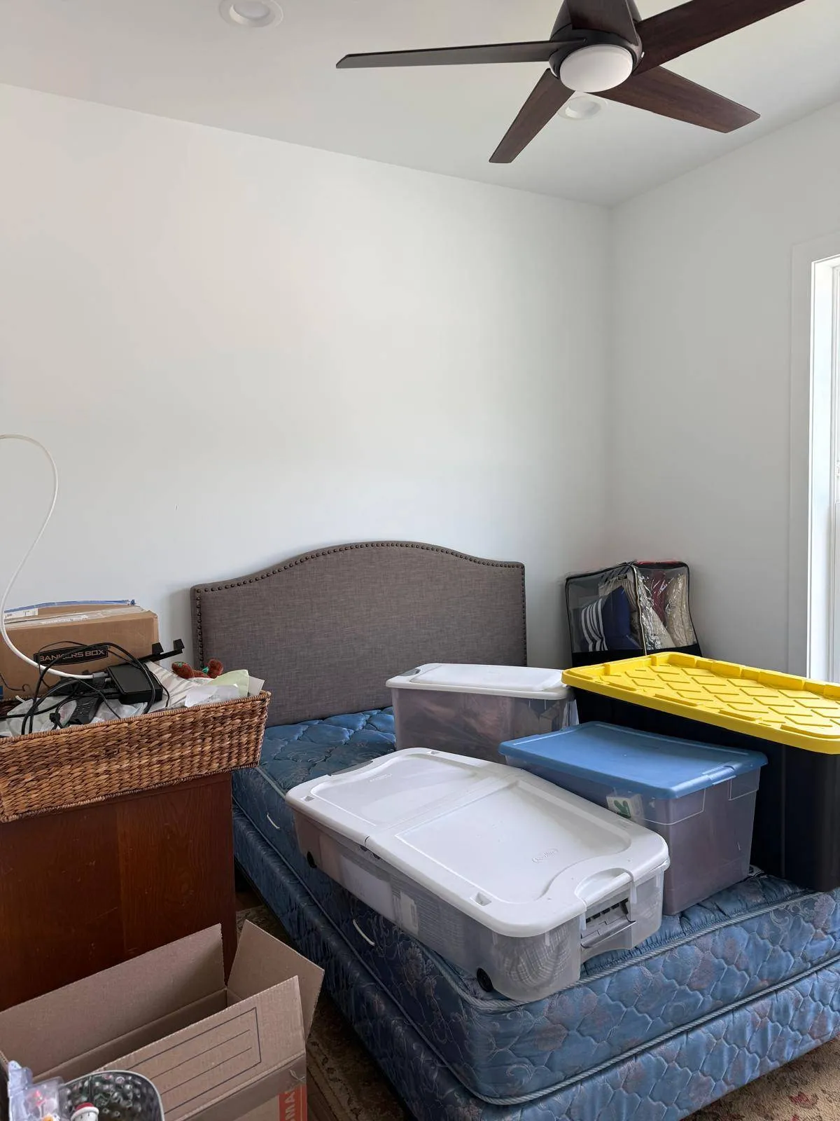 Gallery image 16